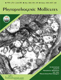 phytopatogenic-mollicutes